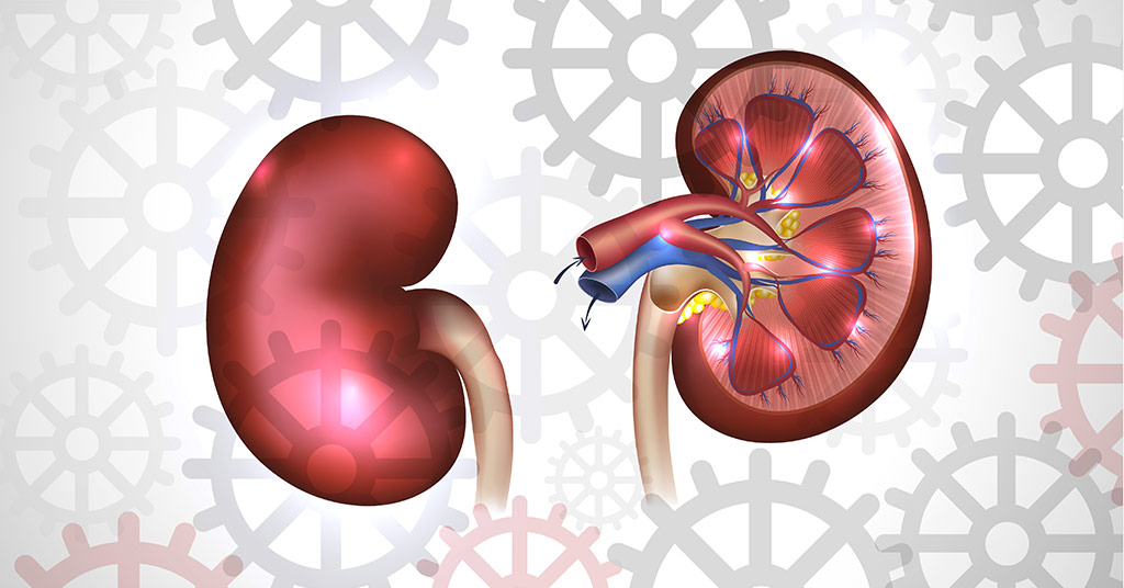 chronic renal disease