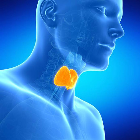 hypothyroidism